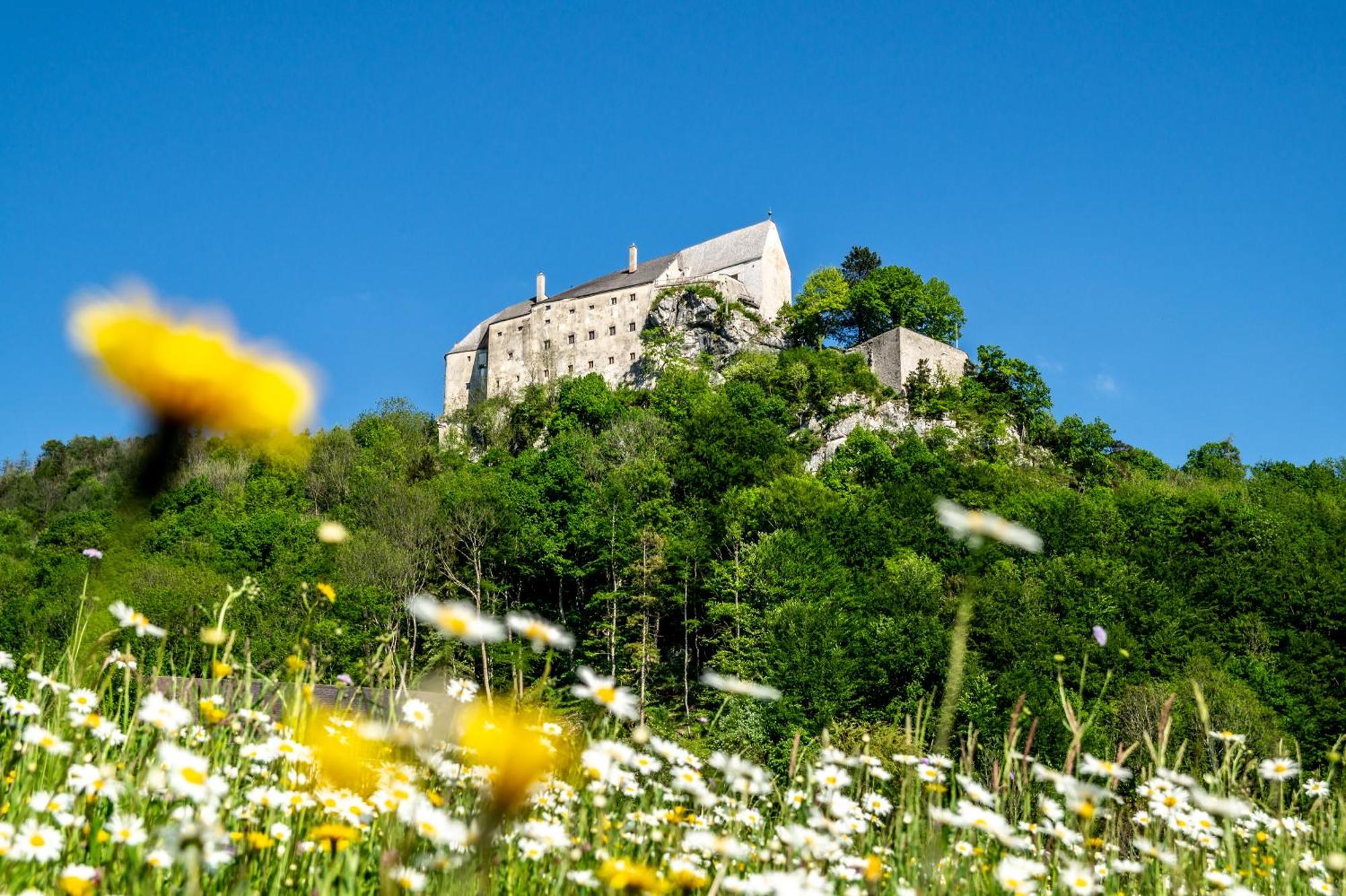 Готель Burg Altpernstein Micheldorf in Oberosterreich Екстер'єр фото